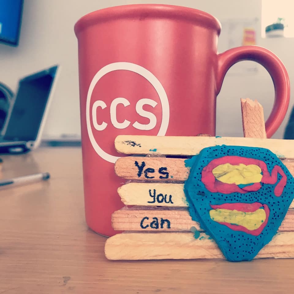 Liderazgo efectivo; su importancia en el logro de objetivos.